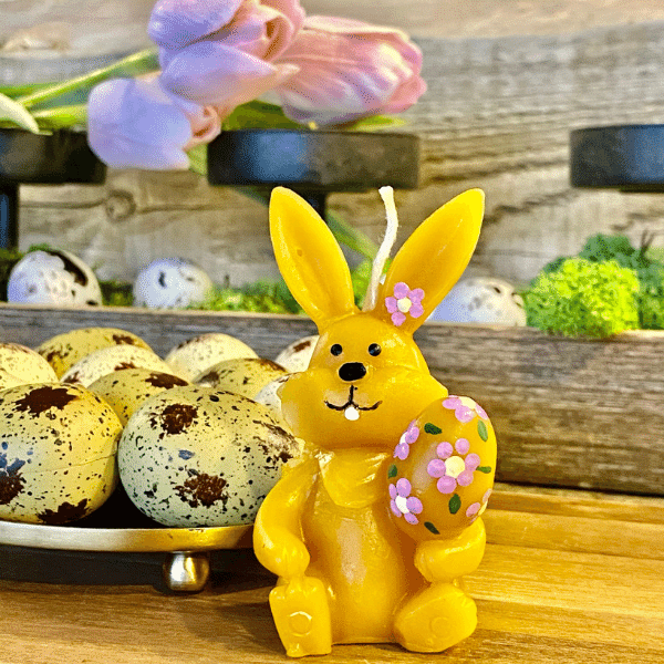 Zajko s kvetinkami na uchu