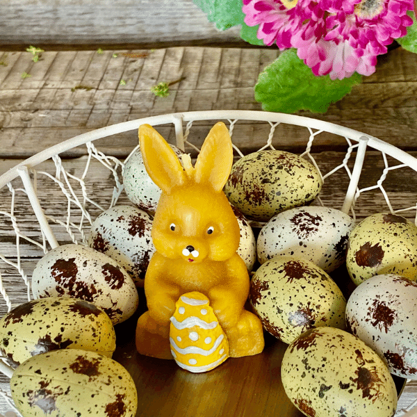 Sediaci zajko s vajíčkom